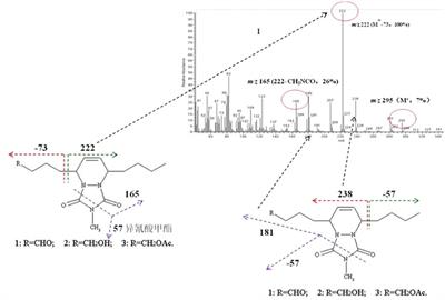 Research Progress on the Dendrolimus spp. Pheromone: From Identification to Molecular Recognition